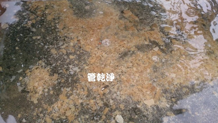 中壢 九和五街 水管清洗 - 我家有餅乾