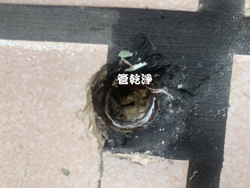 旋鈕一轉就有來姆汽水? 新竹 東區 水利路 洗水管