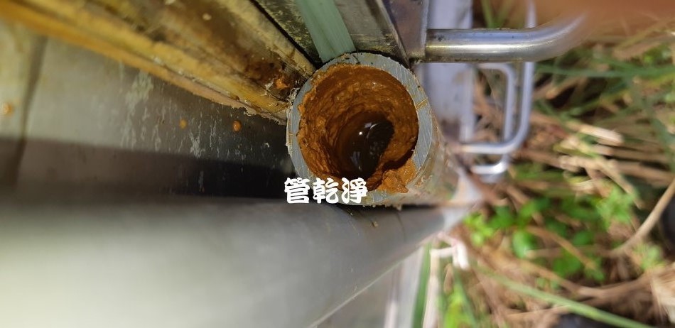 管路流出薑黃? (新竹 峨眉 十四寮 清洗水管 )