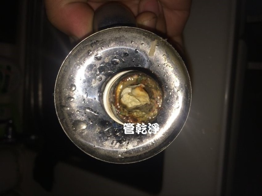 水龍頭噴出牛奶? 竹北 自強六街 洗水管