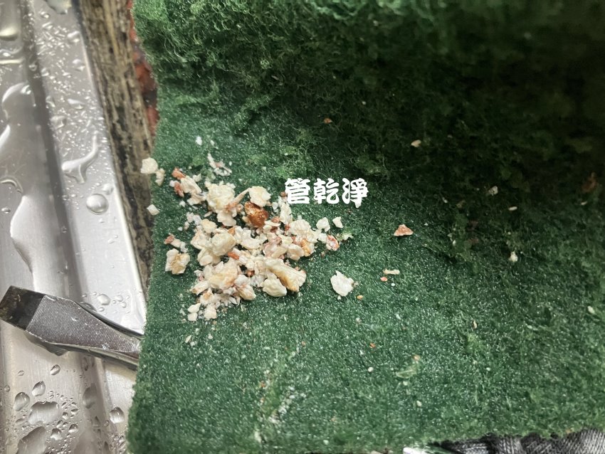 水管裡有白色米粒.. 新北 蘆洲 永安南路 清洗水管