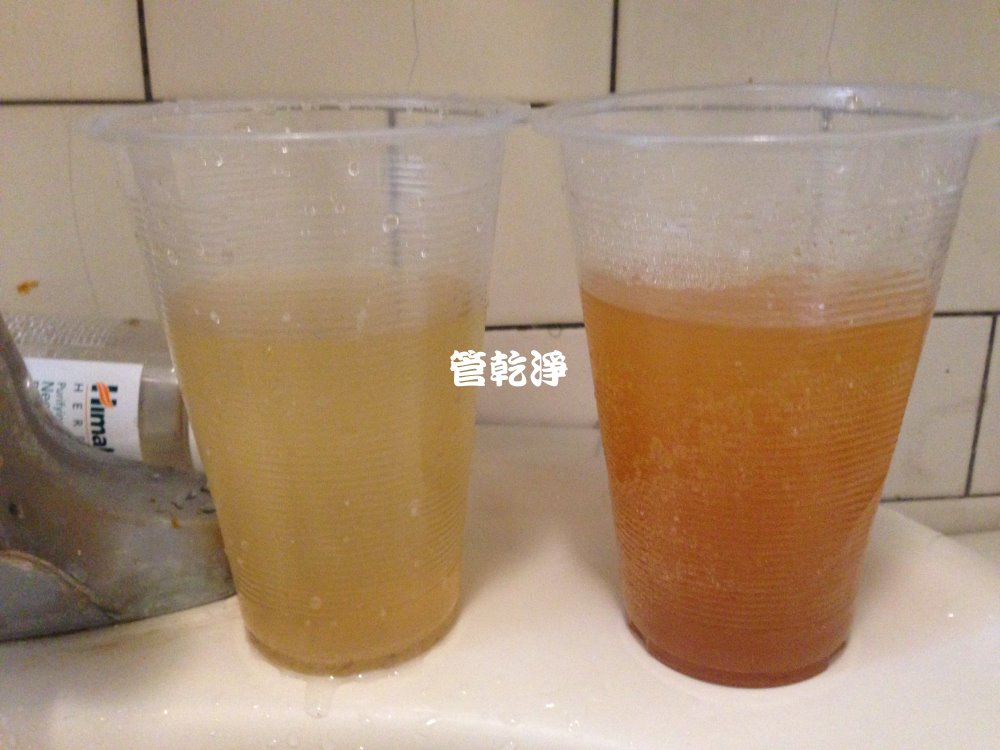 板橋 南雅南路二段 清洗水管