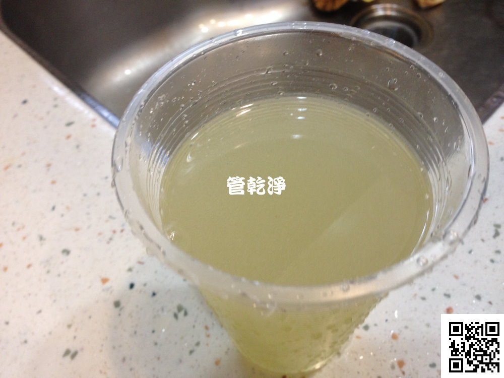桃園 新屋 東興路一段 清洗水管
